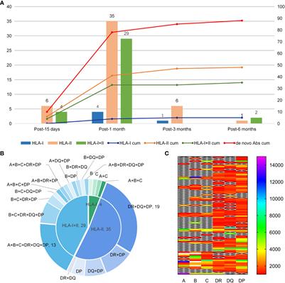 Posttransplant de novo DSA and NDSA affect GvHD, OS, and DFS after haplo-HSCT in patients without pre-existing HLA antibodies of hematological malignancies